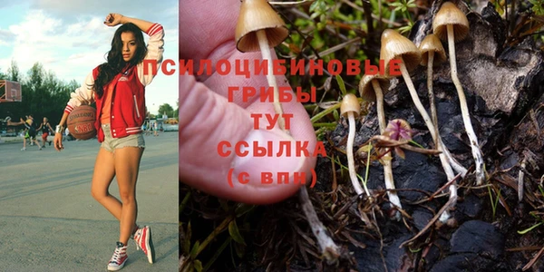 мяу мяу кристалл Медногорск