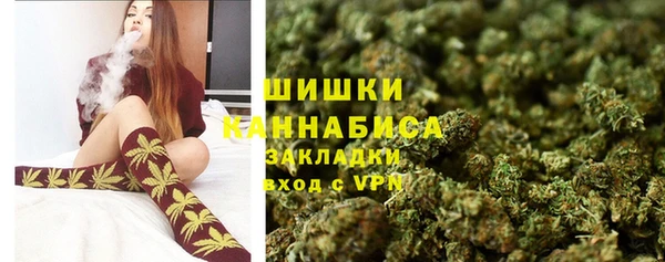 стаф Бежецк