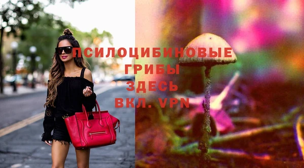 стаф Бежецк