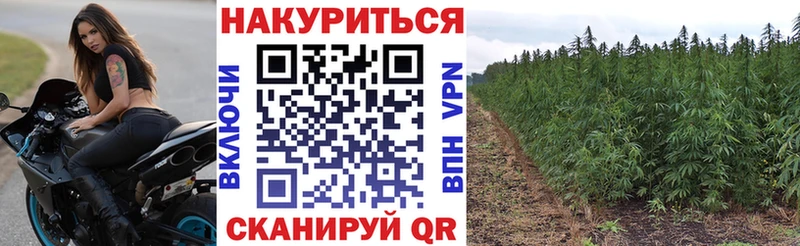 Шишки марихуана планчик закладки Щучье